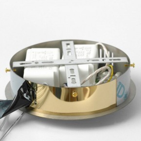 Подвесной светильник Lussole Citrus LSP-7158 в Советском - sovetskiy.mebel24.online | фото 6