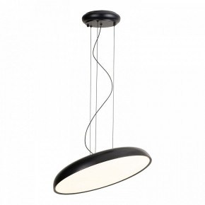 Подвесной светильник Lussole Crook LSP-7360 в Советском - sovetskiy.mebel24.online | фото 2