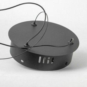 Подвесной светильник Lussole Dade LSP-7249 в Советском - sovetskiy.mebel24.online | фото 5