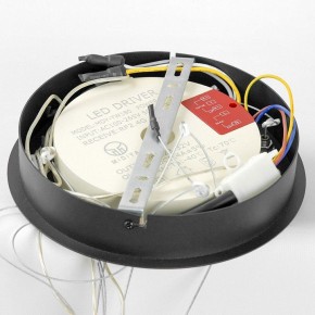 Подвесной светильник Lussole Hale LSP-7380 в Советском - sovetskiy.mebel24.online | фото 6
