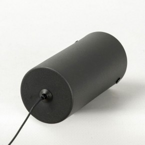 Подвесной светильник Lussole Howard LSP-7349 в Советском - sovetskiy.mebel24.online | фото 8