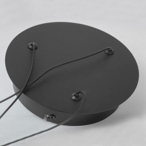 Подвесной светильник Lussole Lassen LSP-7257 в Советском - sovetskiy.mebel24.online | фото 6