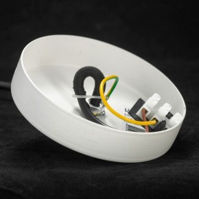Подвесной светильник Lussole LSP-86 LSP-8601 в Советском - sovetskiy.mebel24.online | фото 4