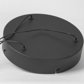 Подвесной светильник Lussole Macon LSP-7310 в Советском - sovetskiy.mebel24.online | фото 6