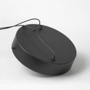 Подвесной светильник Lussole Mitchell LSP-7308 в Советском - sovetskiy.mebel24.online | фото 5