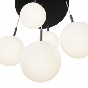 Подвесной светильник Maytoni Basic form MOD321PL-05B в Советском - sovetskiy.mebel24.online | фото