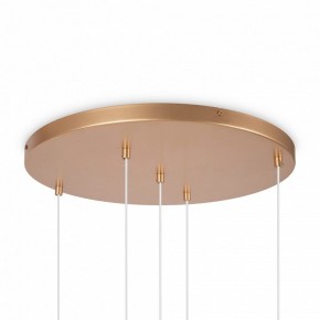 Подвесной светильник Maytoni Basic form MOD521PL-05G в Советском - sovetskiy.mebel24.online | фото 6