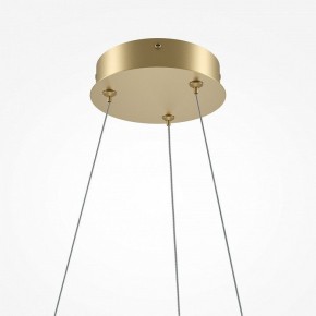 Подвесной светильник Maytoni Curve MOD241PL-L60BSK в Советском - sovetskiy.mebel24.online | фото 6