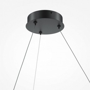 Подвесной светильник Maytoni Curve MOD242PL-L33BK в Советском - sovetskiy.mebel24.online | фото 5