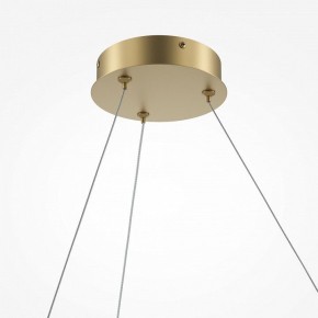 Подвесной светильник Maytoni Curve MOD242PL-L33BSK в Советском - sovetskiy.mebel24.online | фото 5