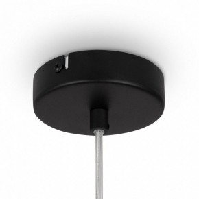 Подвесной светильник Maytoni Duality MOD271PL-01B9 в Советском - sovetskiy.mebel24.online | фото 10