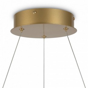 Подвесной светильник Maytoni Halo MOD100PL-L88BSK1 в Советском - sovetskiy.mebel24.online | фото 6