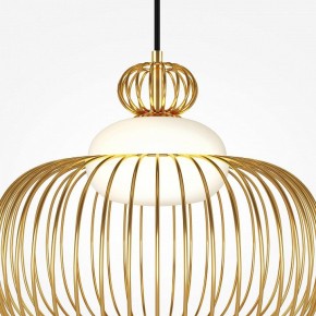 Подвесной светильник Maytoni Levitation MOD376PL-01G в Советском - sovetskiy.mebel24.online | фото 6