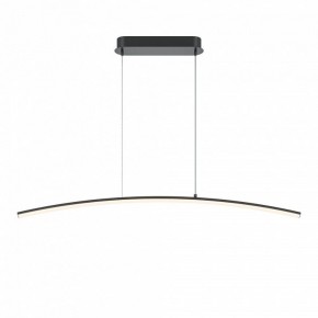 Подвесной светильник Maytoni Light Reflection MOD243PL-L18BK в Советском - sovetskiy.mebel24.online | фото 2
