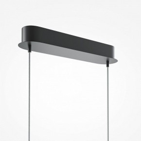 Подвесной светильник Maytoni Light Reflection MOD243PL-L18BK в Советском - sovetskiy.mebel24.online | фото 6