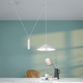 Подвесной светильник Maytoni Peso P080PL-01B в Советском - sovetskiy.mebel24.online | фото 5