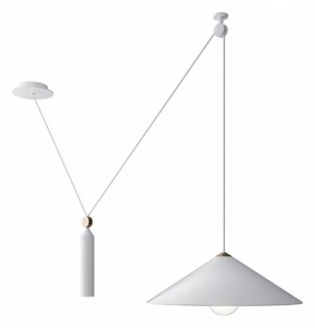 Подвесной светильник Maytoni Peso P080PL-01W в Советском - sovetskiy.mebel24.online | фото 2