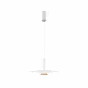 Подвесной светильник Maytoni Platte MOD352PL-L10W3K в Советском - sovetskiy.mebel24.online | фото 4