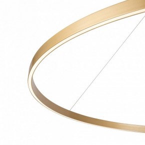 Подвесной светильник Maytoni Rim MOD058PL-L65BSK в Советском - sovetskiy.mebel24.online | фото 5