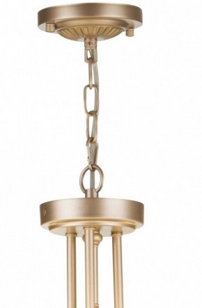 Подвесной светильник Maytoni Roma ARM006PL-06G в Советском - sovetskiy.mebel24.online | фото 5