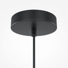 Подвесной светильник Maytoni Roots MOD195PL-01W в Советском - sovetskiy.mebel24.online | фото 3