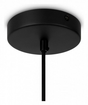 Подвесной светильник Maytoni Roots MOD195PL-01W1 в Советском - sovetskiy.mebel24.online | фото 4