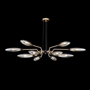 Подвесной светильник Maytoni Ventura MOD012CL-12G в Советском - sovetskiy.mebel24.online | фото 3