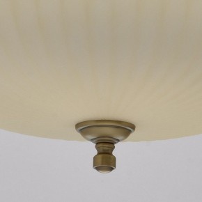 Подвесной светильник MW-Light Афродита 1 317010504 в Советском - sovetskiy.mebel24.online | фото 9