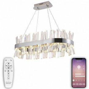 Подвесной светильник Natali Kovaltseva Smart Нимбы LED LAMPS 81251 в Советском - sovetskiy.mebel24.online | фото 5