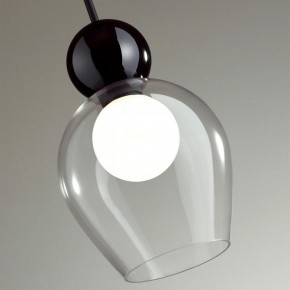 Подвесной светильник Odeon Light Blacky 2 5023/1 в Советском - sovetskiy.mebel24.online | фото 6