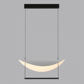 Подвесной светильник Odeon Light Next 7015/20L в Советском - sovetskiy.mebel24.online | фото 4