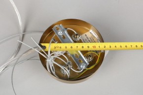Подвесной светильник Omnilux Cesana OML-67103-08 в Советском - sovetskiy.mebel24.online | фото 9