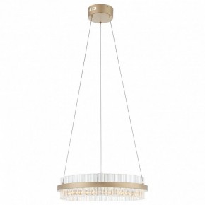 Подвесной светильник ST-Luce Cherio SL383.203.01 в Советском - sovetskiy.mebel24.online | фото 3
