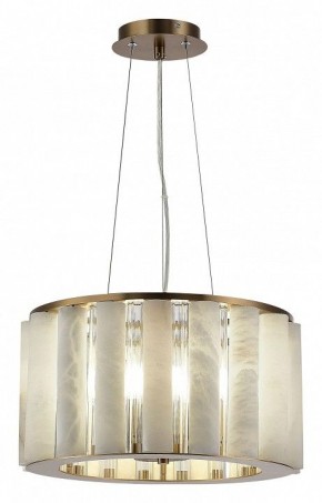 Подвесной светильник ST-Luce Delight SL1516.303.06 в Советском - sovetskiy.mebel24.online | фото 3
