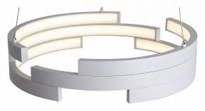 Подвесной светильник ST-Luce Genuine SL963.503.01 в Советском - sovetskiy.mebel24.online | фото