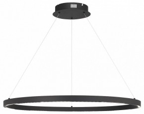 Подвесной светильник ST-Luce PARILLA SL6238.443.01 в Советском - sovetskiy.mebel24.online | фото 2
