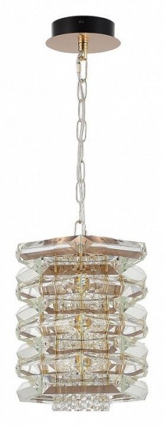 Подвесной светильник ST-Luce STROZZI SL6137.203.01 в Советском - sovetskiy.mebel24.online | фото 3