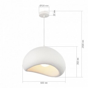 Подвесной светильник ST-Luce WABI SABI SL1522.513.01 в Советском - sovetskiy.mebel24.online | фото 5