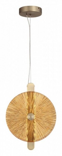 Подвесной светильник ST-Luce WASI SL6141.313.01 в Советском - sovetskiy.mebel24.online | фото 2