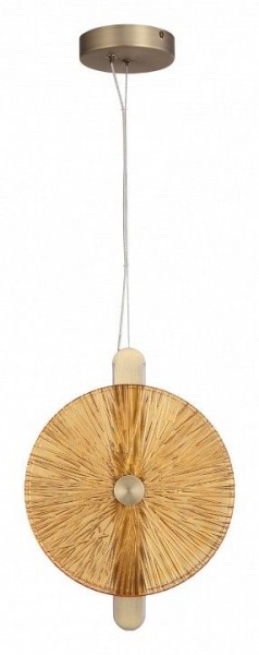 Подвесной светильник ST-Luce WASI SL6141.313.01 в Советском - sovetskiy.mebel24.online | фото 3