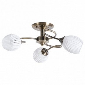 Потолочная люстра Arte Lamp Arya A2941PL-3AB в Советском - sovetskiy.mebel24.online | фото