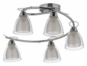 Потолочная люстра Arti Lampadari Paola, Tavenna Nickel Paola E 1.1.5 N в Советском - sovetskiy.mebel24.online | фото