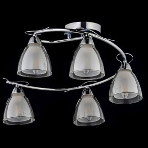 Потолочная люстра Arti Lampadari Paola, Tavenna Nickel Paola E 1.1.5 N в Советском - sovetskiy.mebel24.online | фото 2