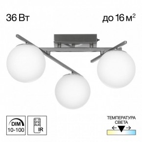 Потолочная люстра Citilux Dorsy CL223131 в Советском - sovetskiy.mebel24.online | фото 3