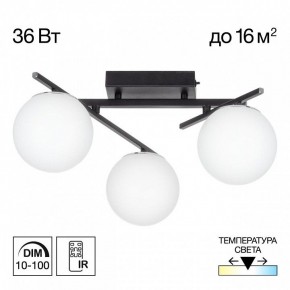 Потолочная люстра Citilux Dorsy CL223132 в Советском - sovetskiy.mebel24.online | фото 10
