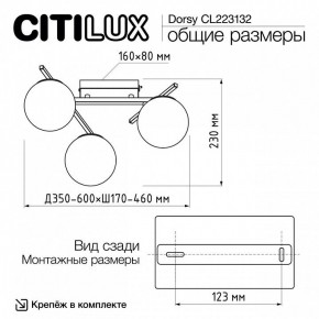 Потолочная люстра Citilux Dorsy CL223132 в Советском - sovetskiy.mebel24.online | фото 12