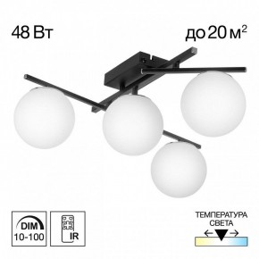 Потолочная люстра Citilux Dorsy CL223142 в Советском - sovetskiy.mebel24.online | фото 9