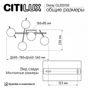 Потолочная люстра Citilux Dorsy CL223152 в Советском - sovetskiy.mebel24.online | фото 10