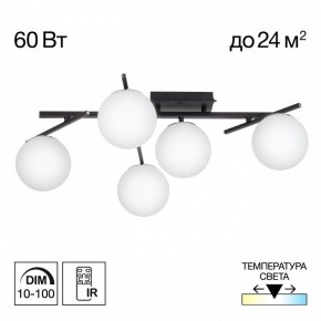 Потолочная люстра Citilux Dorsy CL223152 в Советском - sovetskiy.mebel24.online | фото 2