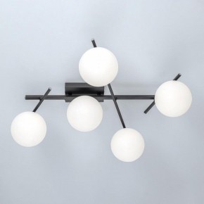Потолочная люстра Citilux Dorsy CL223152 в Советском - sovetskiy.mebel24.online | фото 6